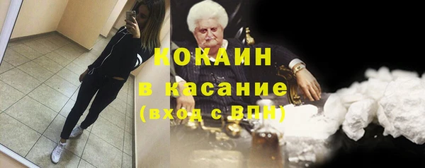 индика Абинск