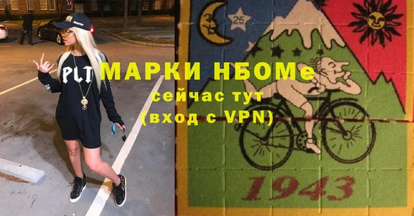 индика Абинск