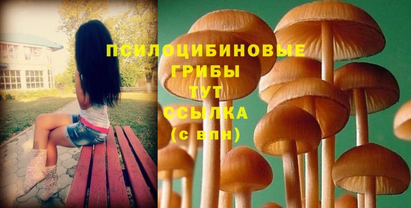 эйфоретик Абдулино