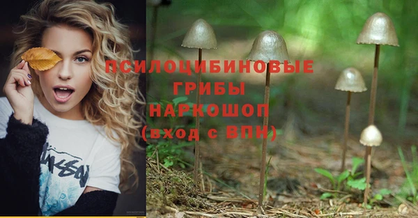 индика Алексеевка