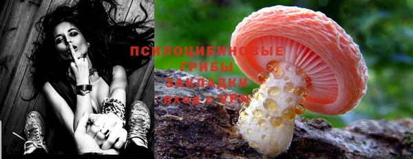 индика Абинск