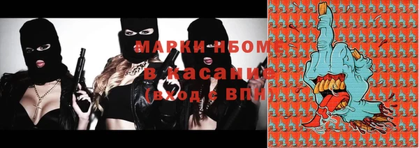 индика Абинск