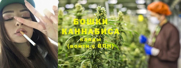 ГАЛЛЮЦИНОГЕННЫЕ ГРИБЫ Абаза